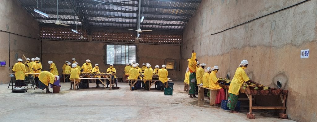 Modern fruit processing facility